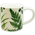 RHS Foliage Straight Sided Mug – New Bone China
